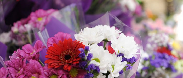 Outdoor Market - Aug 19 - 06